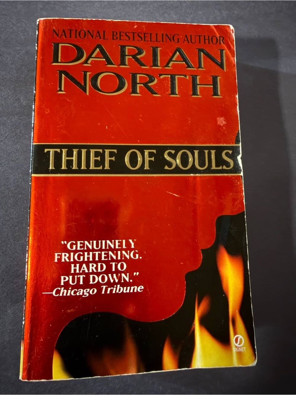 Darian North "Thief of Souls" Paperback